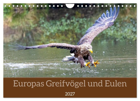 Europas Greifvögel und Eulen (Wandkalender 2027 DIN A4 quer), CALVENDO Monatskalender