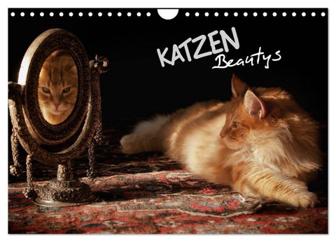 KATZEN Beautys (Wandkalender 2027 DIN A4 quer), CALVENDO Monatskalender