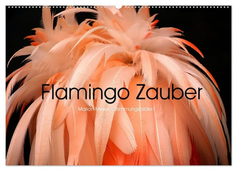 Flamingo Zauber (Wandkalender 2027 DIN A2 quer), CALVENDO Monatskalender