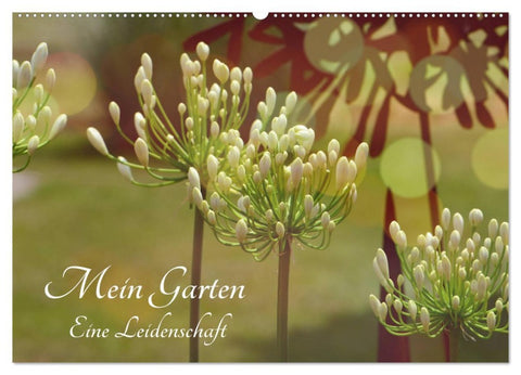 Mein Garten Eine Leidenschaft (Wandkalender 2026 DIN A2 quer), CALVENDO Monatskalender