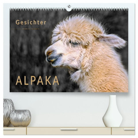 Alpaka Gesichter (hochwertiger Premium Wandkalender 2027 DIN A2 quer), Kunstdruck in Hochglanz
