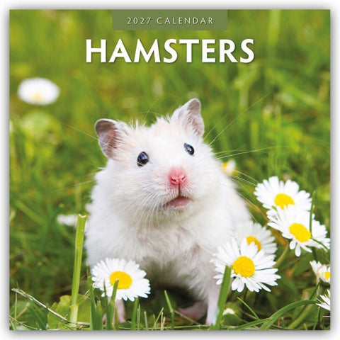 Hamsters – Hamster 2027 – 16-Monatskalender
