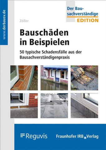 Bauschäden in Beispielen