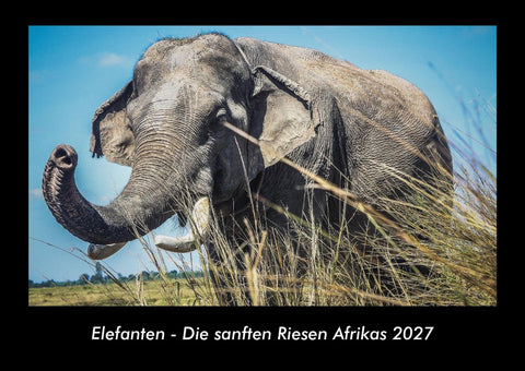 Elefanten - Die sanften Riesen Afrikas 2027 Fotokalender DIN A3