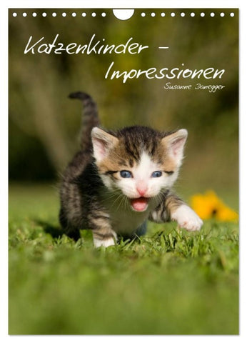 Katzenkinder - Impressionen (Wandkalender 2026 DIN A4 hoch), CALVENDO Monatskalender