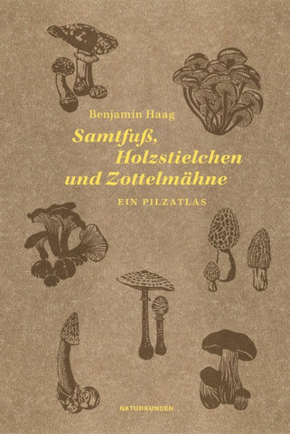 Samtfuß, Holzstielchen und Zottelmähne
