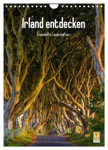 Irland entdecken (Wandkalender 2026 DIN A4 hoch), CALVENDO Monatskalender