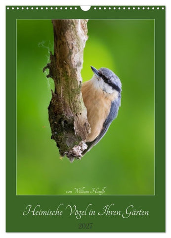 Heimische Vögel in Ihren Gärten (Wandkalender 2027 DIN A3 hoch), CALVENDO Monatskalender