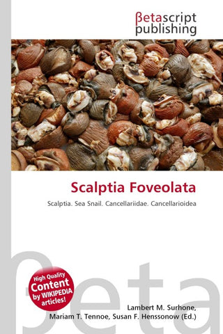 Scalptia Foveolata