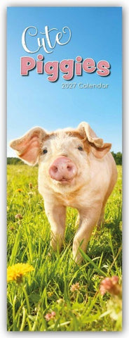 Cute Piggies – Süße kleine Schweinchen – Slimline-Kalender 2027
