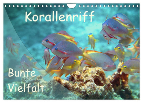 Bunte Vielfalt im Korallenriff (Wandkalender 2027 DIN A4 quer), CALVENDO Monatskalender