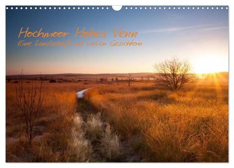 Hochmoor Hohes Venn (Wandkalender 2027 DIN A3 quer), CALVENDO Monatskalender