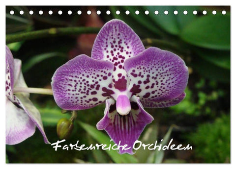 Farbenreiche Orchideen (Tischkalender 2027 DIN A5 quer), CALVENDO Monatskalender