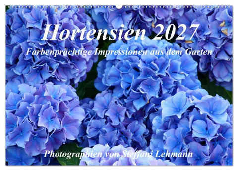 Hortensien 2027. Farbenprächtige Impressionen aus dem Garten (Wandkalender 2027 DIN A2 quer), CALVENDO Monatskalender