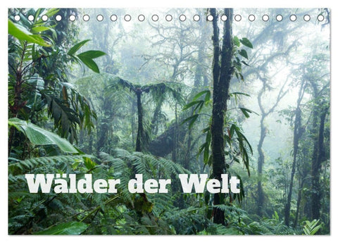 Wälder der Welt (Tischkalender 2027 DIN A5 quer), CALVENDO Monatskalender