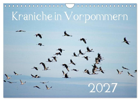 Kraniche in Vorpommern (Wandkalender 2027 DIN A4 quer), CALVENDO Monatskalender