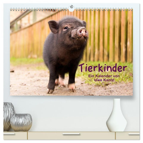 Tierkinder (hochwertiger Premium Wandkalender 2026 DIN A2 quer), Kunstdruck in Hochglanz