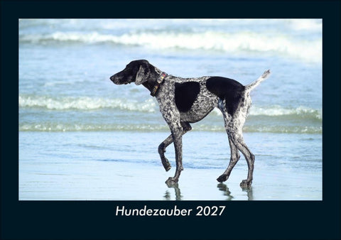 Hundezauber 2027 Fotokalender DIN A5