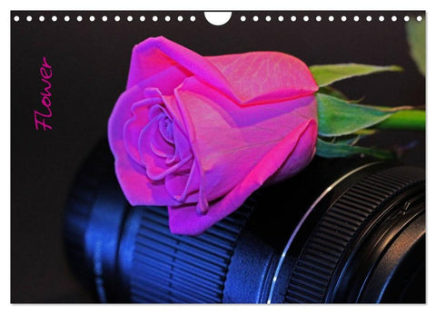 Flower (Wandkalender 2026 DIN A4 quer), CALVENDO Monatskalender