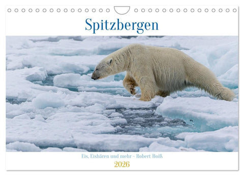 Spitzbergen - Eis, Eisbären und mehr (Wandkalender 2026 DIN A4 quer), CALVENDO Monatskalender