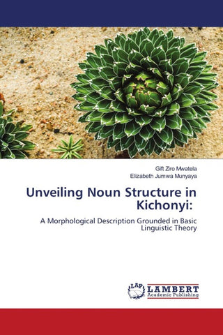 Unveiling Noun Structure in Kichonyi: