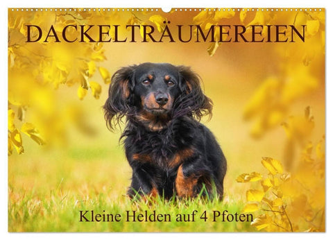 Dackelträumereien - Kleine Helden auf 4 Pfoten (Wandkalender 2027 DIN A2 quer), CALVENDO Monatskalender