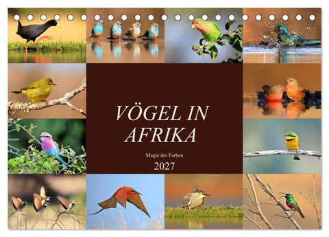 Vögel in Afrika - Magie der Farben (Tischkalender 2027 DIN A5 quer), CALVENDO Monatskalender