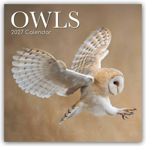 Owls – Eulen 2027 – 16-Monatskalender