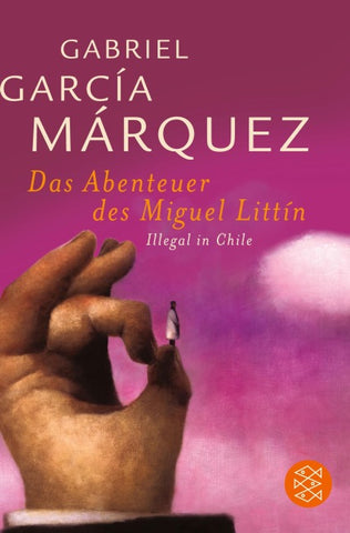Das Abenteuer des Miguel Littín