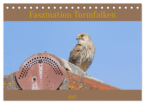 Faszination Turmfalken (Tischkalender 2027 DIN A5 quer), CALVENDO Monatskalender