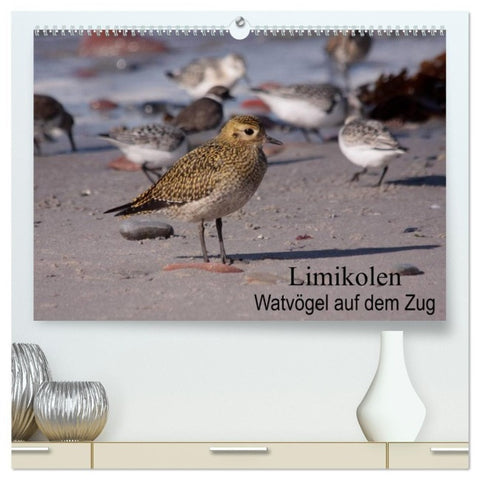 Limikolen Watvögel auf dem Zug (hochwertiger Premium Wandkalender 2027 DIN A2 quer), Kunstdruck in Hochglanz