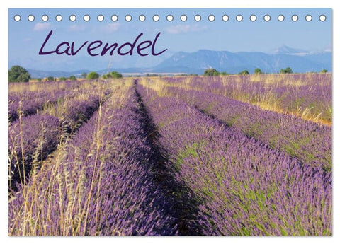 Lavendel (Tischkalender 2026 DIN A5 quer), CALVENDO Monatskalender