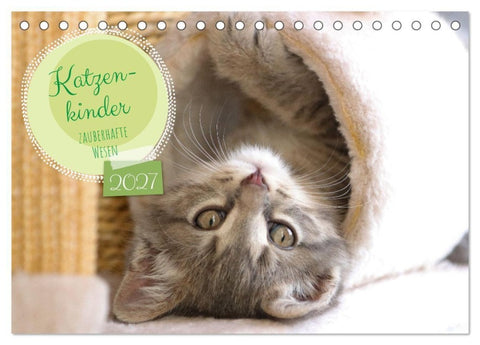 Katzenkinder - zauberhafte Wesen (Tischkalender 2027 DIN A5 quer), CALVENDO Monatskalender