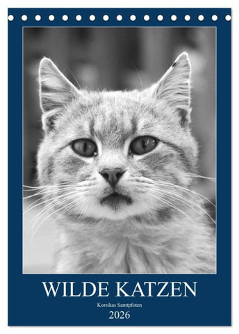 Wilde Katzen - Korsikas Samtpfoten (Tischkalender 2026 DIN A5 hoch), CALVENDO Monatskalender