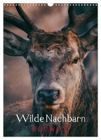Wilde Nachbarn: Rotwild (Wandkalender 2027 DIN A3 hoch), CALVENDO Monatskalender