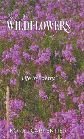 Wildflowers