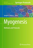 Myogenesis
