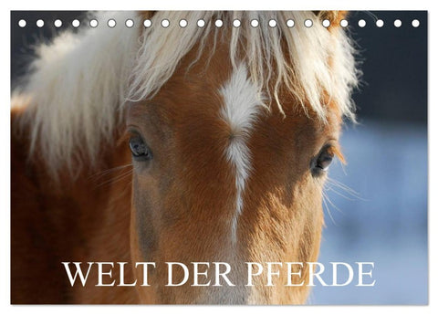 Welt der Pferde (Tischkalender 2026 DIN A5 quer), CALVENDO Monatskalender