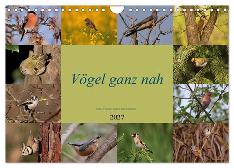 Vögel ganz nah (Wandkalender 2027 DIN A4 quer), CALVENDO Monatskalender