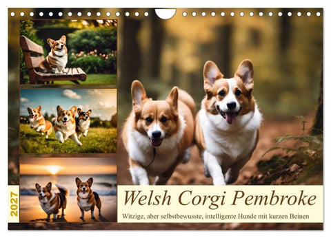 Welsh Corgi Pembroke (Wandkalender 2027 DIN A4 quer), CALVENDO Monatskalender