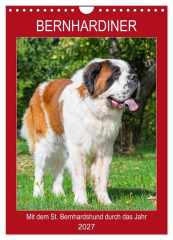 Bernhardiner - Mit dem St. Bernhardshund durch das Jahr (Wandkalender 2027 DIN A4 hoch), CALVENDO Monatskalender