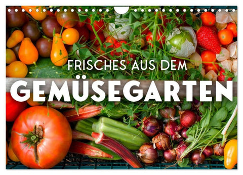 Frisches aus dem Gemüsegarten (Wandkalender 2027 DIN A4 quer), CALVENDO Monatskalender