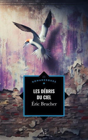 Les Débris du ciel
