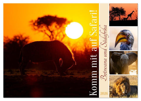 Komm mit auf Safari! Botswana und Südafrika (Wandkalender 2026 DIN A2 quer), CALVENDO Monatskalender