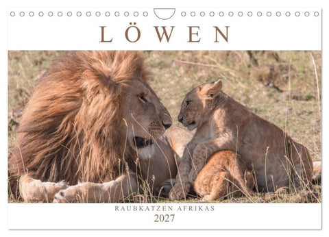 Löwen - Raubkatzen Afrikas (Wandkalender 2027 DIN A4 quer), CALVENDO Monatskalender