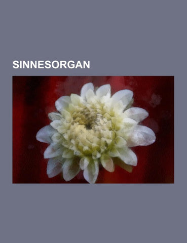 Sinnesorgan