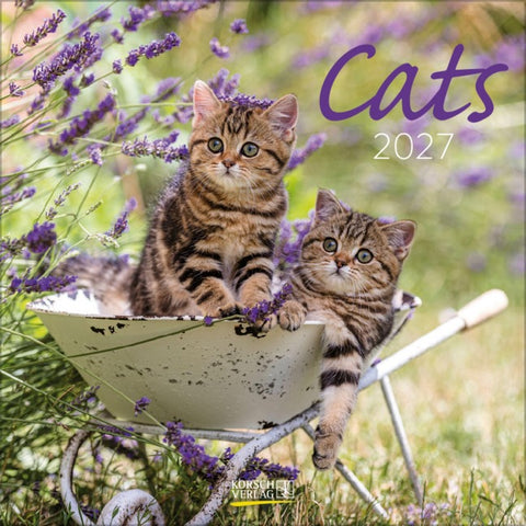 Cats 2027