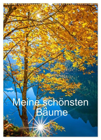 Meine schönsten Bäume (Wandkalender 2027 DIN A2 hoch), CALVENDO Monatskalender