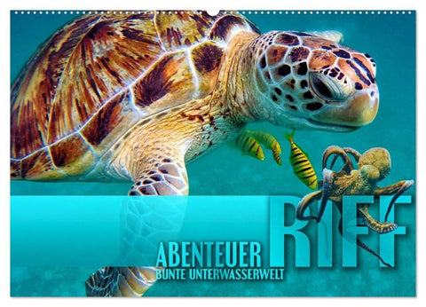 Abenteuer Riff - bunte Unterwasserwelt (Wandkalender 2027 DIN A2 quer), CALVENDO Monatskalender