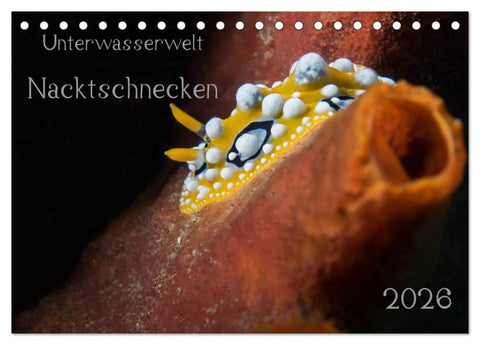 Unterwasserwelt Nacktschnecken (Tischkalender 2026 DIN A5 quer), CALVENDO Monatskalender